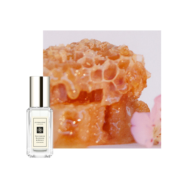 2026年 LuckyBag】コロン コレクション 限定セット / Jo Malone London