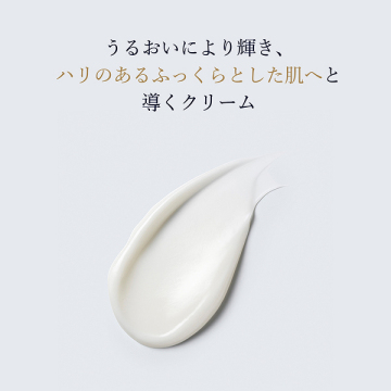 シュープリーム プラス YP クリーム 限定セット 03