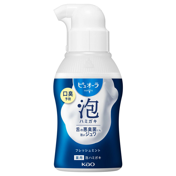 泡ハミガキ フレッシュミント / 110ml / 本体 / フレッシュミント