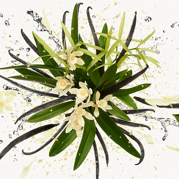 フローラ ゴージャス オーキッド オードパルファム セット (PS