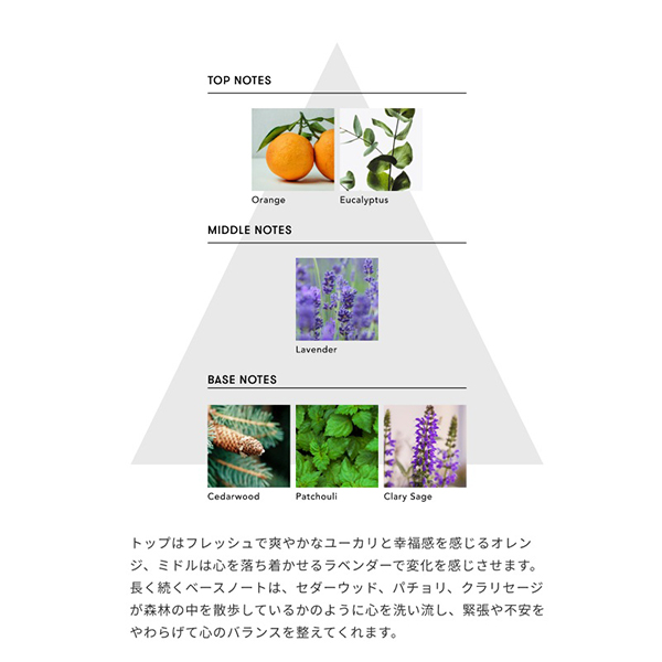 トゥーグッド マルチベネフィットオイル / 50mL / 本体 / ピュリフィケーション・オブ・マインド 1