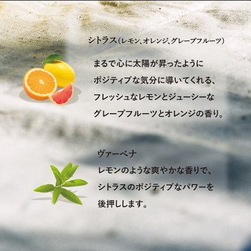 ハンドクリームアソート 6個セット 05