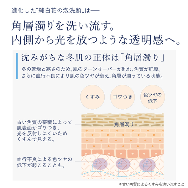 レーヌブランシュイルミネイティングクレンジングフォーム 3個セット