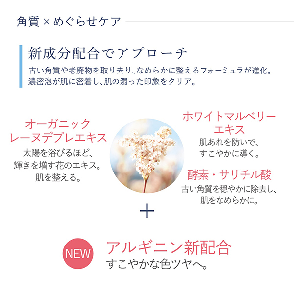 レーヌブランシュイルミネイティングクレンジングフォーム 3個セット