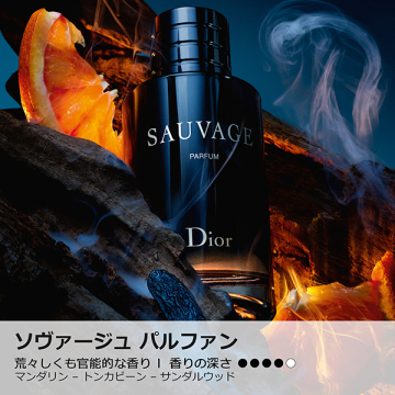 【11月1日以降順次発送予定】ソヴァージュ パルファン トラベル スプレー 限定ボトル 02