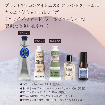 【入荷次第販売開始】プレミアムアドベントカレンダー 2025 03