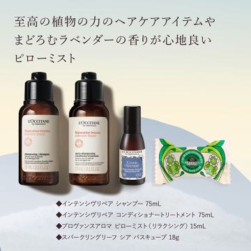 【入荷次第販売開始】アドベントカレンダー 2025 03