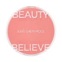 アーティストクッションブラッシュ / #コーラルヘイロー / 4g