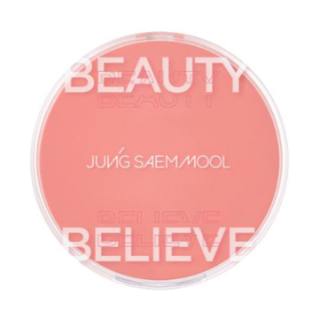 アーティストクッションブラッシュ