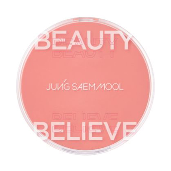 アーティストクッションブラッシュ