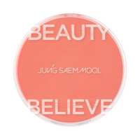 アーティストクッションブラッシュ / #デューイーコーラル / 4g