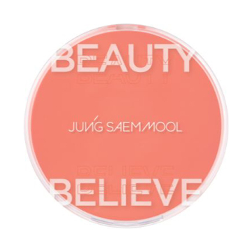 アーティストクッションブラッシュ