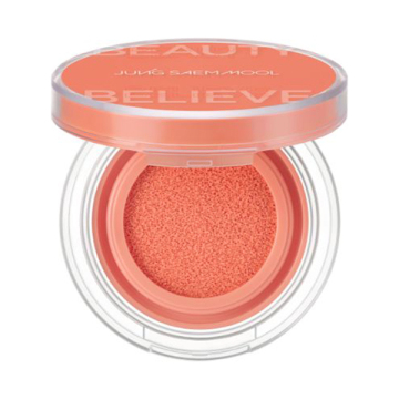 アーティストクッションブラッシュ 02