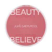 アーティストクッションブラッシュ / #レアローズ / 4g