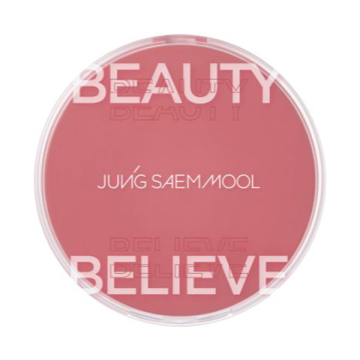 アーティストクッションブラッシュ