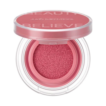 アーティストクッションブラッシュ 02