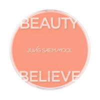 アーティストクッションブラッシュ / #ピーチネクター / 4g