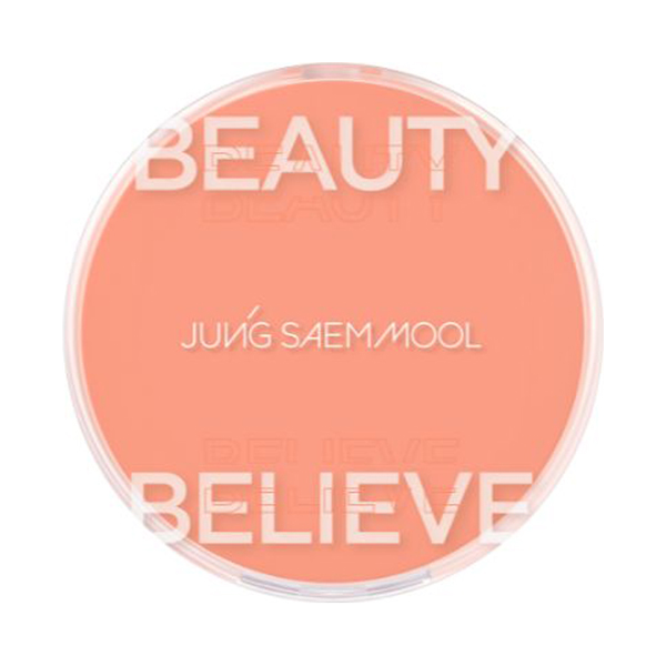 アーティストクッションブラッシュ / #ピーチネクター / 4g アーティストクッションブラッシュ / #ピーチネクター / 4g