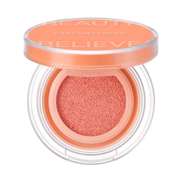 アーティストクッションブラッシュ 02