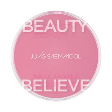 アーティストクッションブラッシュ