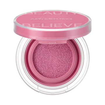 アーティストクッションブラッシュ 02