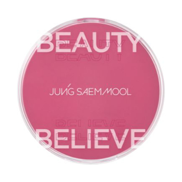 アーティストクッションブラッシュ