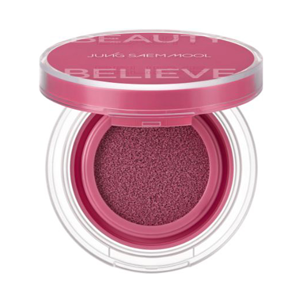 アーティストクッションブラッシュ / #プロップベリー / 4g 1