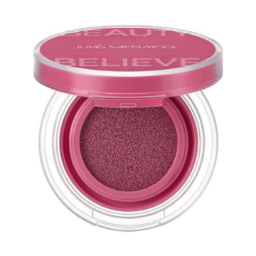 アーティストクッションブラッシュ 02