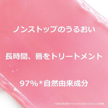 ディオール ホリデー オファー(限定品) 03