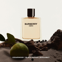 バーバリー ヒーロー オードトワレ / Burberry Beauty(香水, 香水