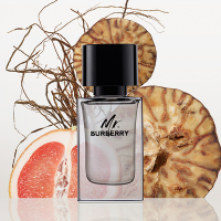 ミスター バーバリー オードトワレ / Burberry Beauty(香水, 香水