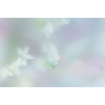 マインドセンス ヘブンリーモーニング 03