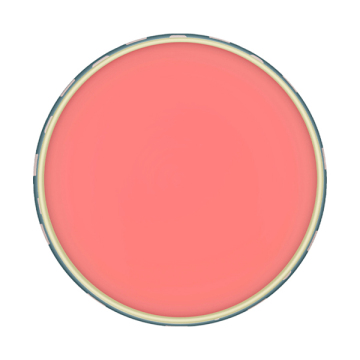 リップ コンディショニング バーム リミテッド 02