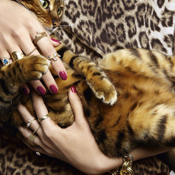 NM ピュアカラー 04