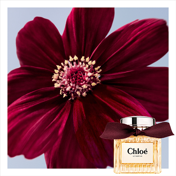 クロエ ル パルファム / クロエ(香水, 香水・ヘアフレグランス)の通販