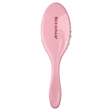 D81M シャインブラシ