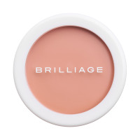 カモフラージュ コンシーラーチーク / 本体 / 04 / 6.7g