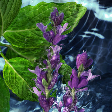 クールウォーター オードトワレ 04