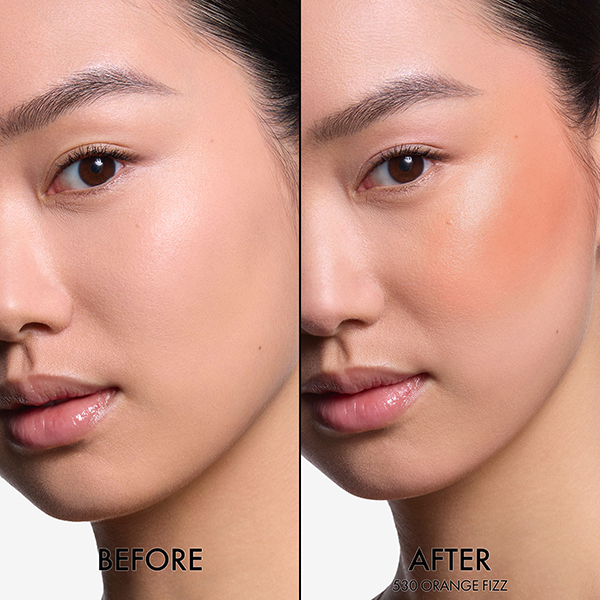 Dior チーク 限定 ロージーグロウスティック 530 オレンジ バックステージ ロージー グロウ スティック / ディオール(その他