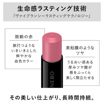 ルージュスターヴァイブラント 04