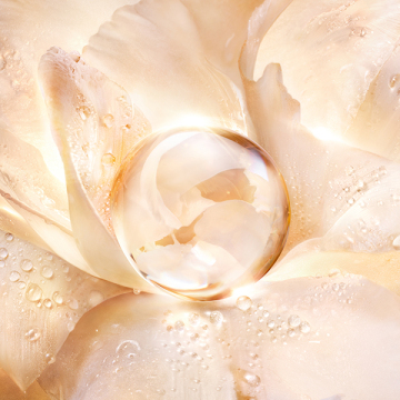 オーキデ アンペリアル ゴールドノビレ ザ ゴールデッセンス ローション 05