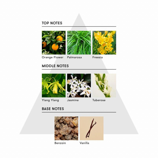 トゥーグッド シルキースムースオイル / シンピュルテ(その他ヘア