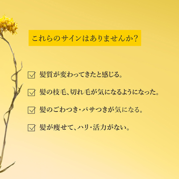 イモーテル プロユース アドバンストスカルプセラム 04