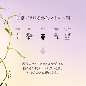 ナイトディフェンス アドバンストスカルプセラム 04