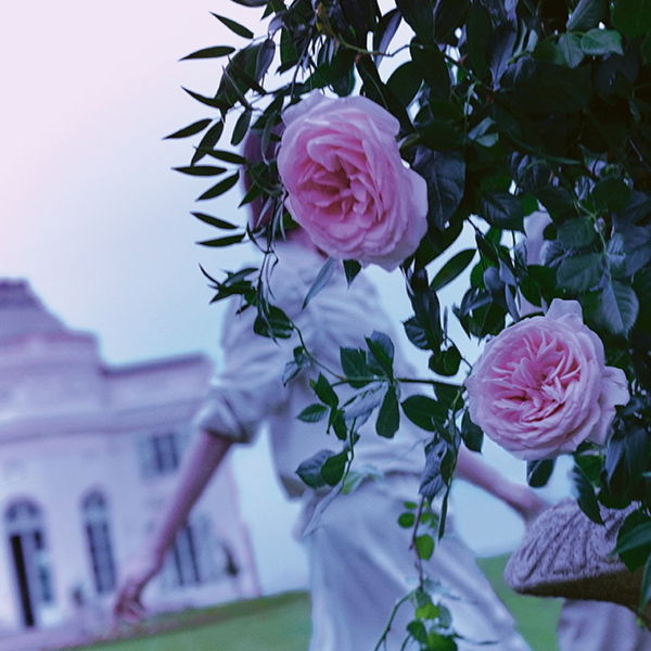 レプリカ オードトワレ アップ アット ドーン / 10mL / 本体 / フローラルウッディー 1