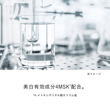 ソワンマスクエクラS II 05