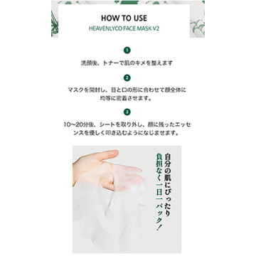 フェイスマスクV2 04