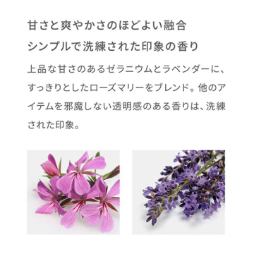 P&Lコンセントレイトローション N 04