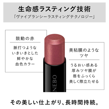 ルージュスターヴァイブラント 04