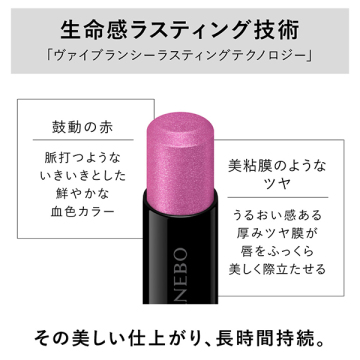 ルージュスターヴァイブラント 04